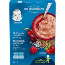 Load image into Gallery viewer, Gerber Stage 4 Baby Cereal (from 12 months) Multigrain Cherries & Berries