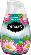 Load image into Gallery viewer, Renuzit After The Rain Gel Air Freshener - 198 g
